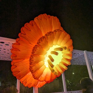 Fundraising Page: Liv Marken